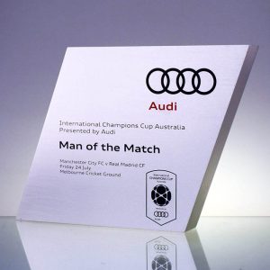 Audi Ecostone Award